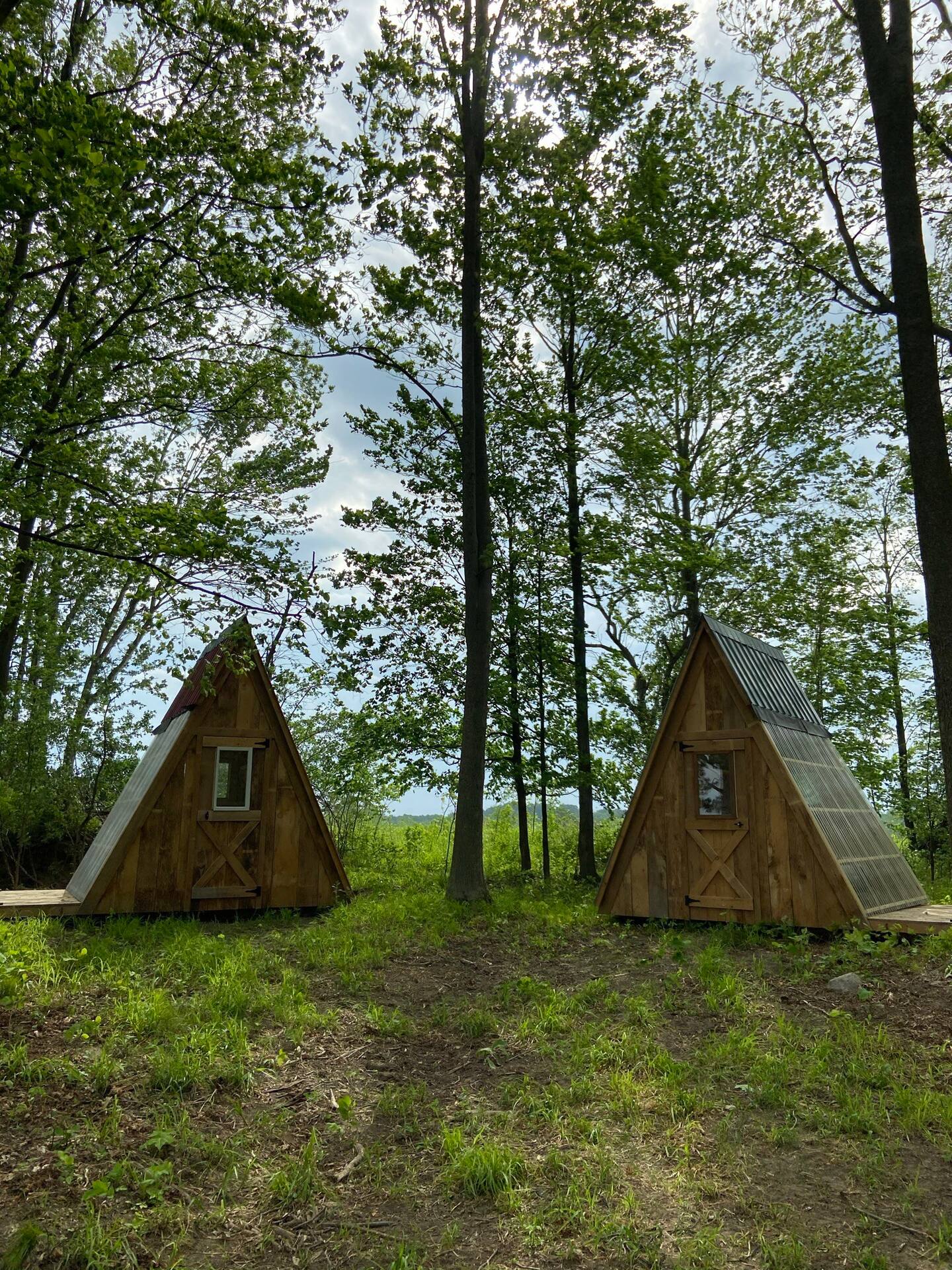 Image of Camping AFrames at Laing Family Farm