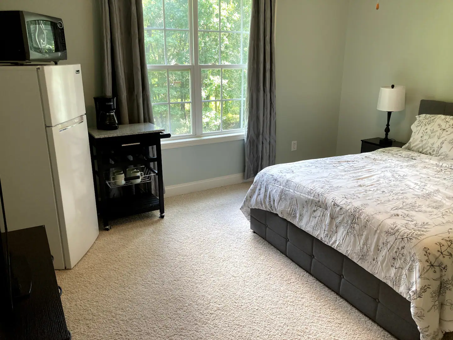 Image of Private upstairs guest suite in college town