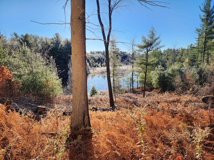 Image of Silver Hill Cabin - Forest Retreat