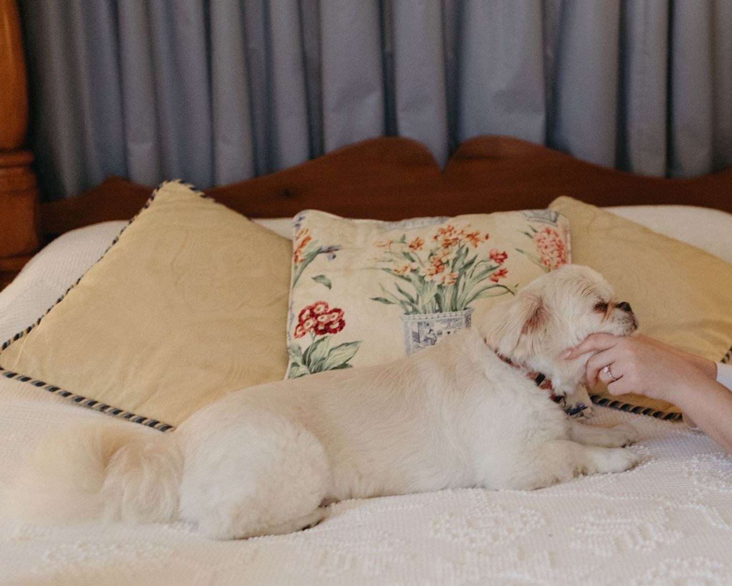 Image of Colonial Capital Bed & Breakfast