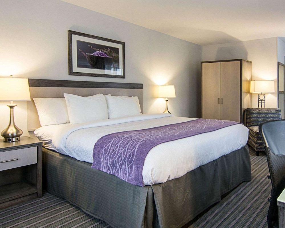 Image of Comfort Inn Williamsburg Gateway
