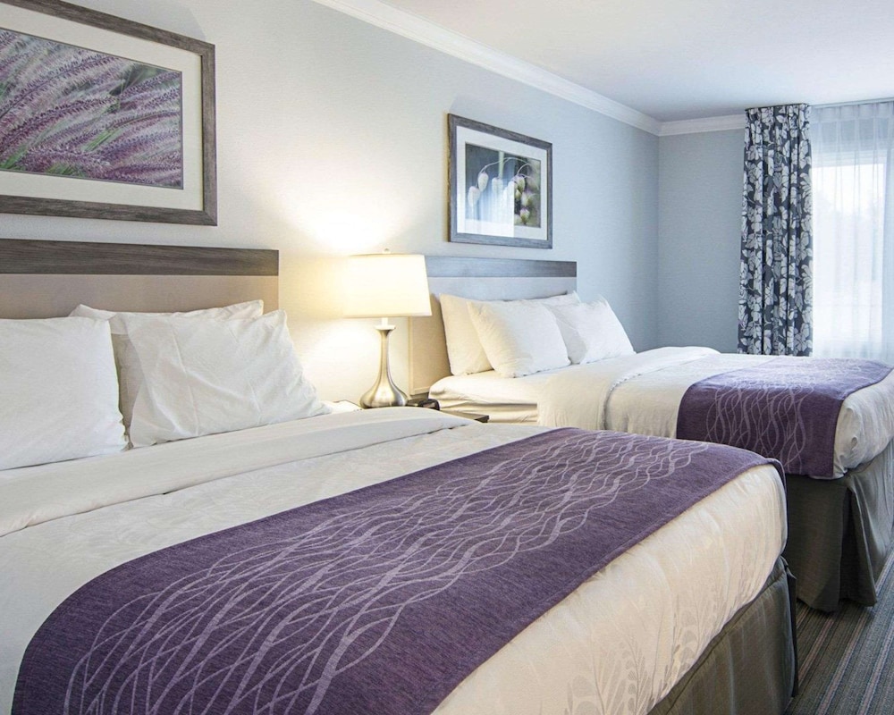 Image of Comfort Inn Williamsburg Gateway