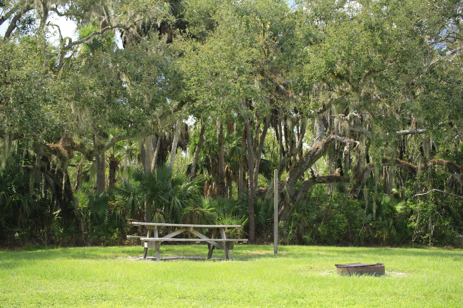 Image of Pepper Ranch Preserve
