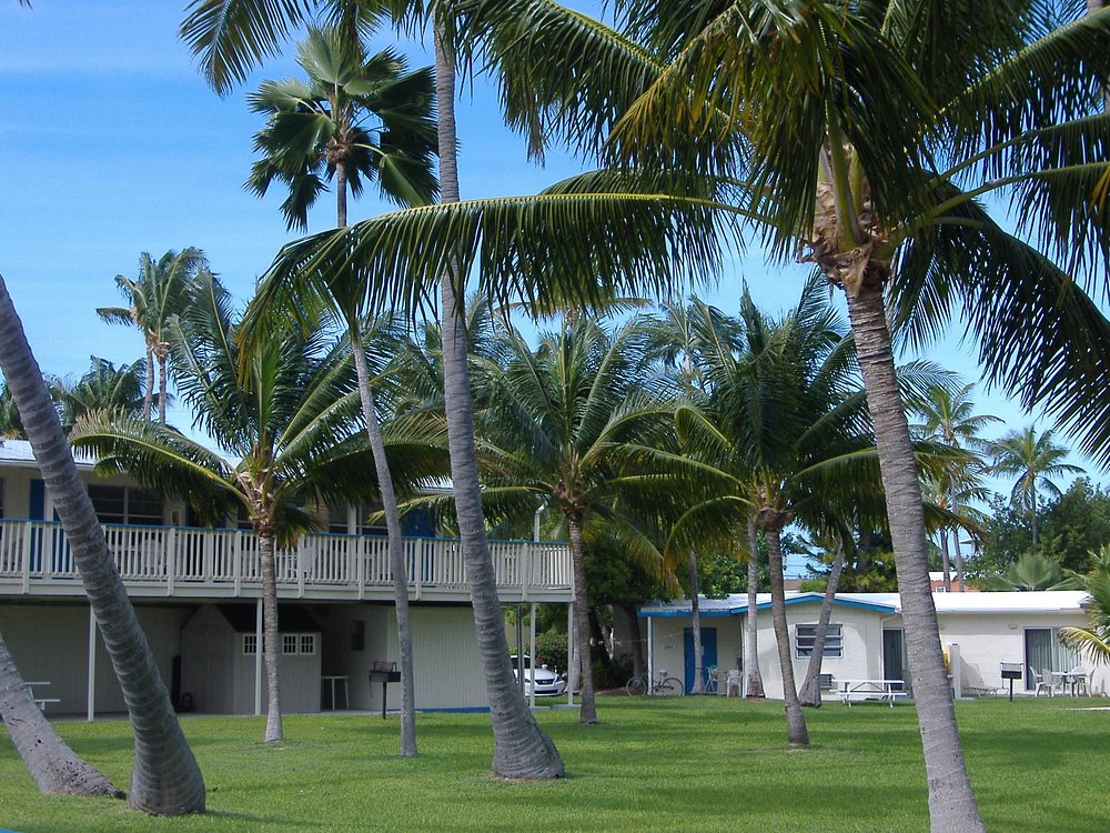 Image of Matecumbe Resort