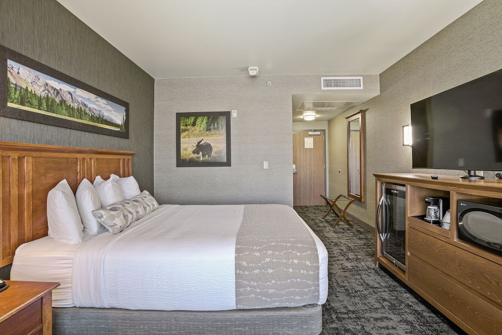 Image of C'mon Inn