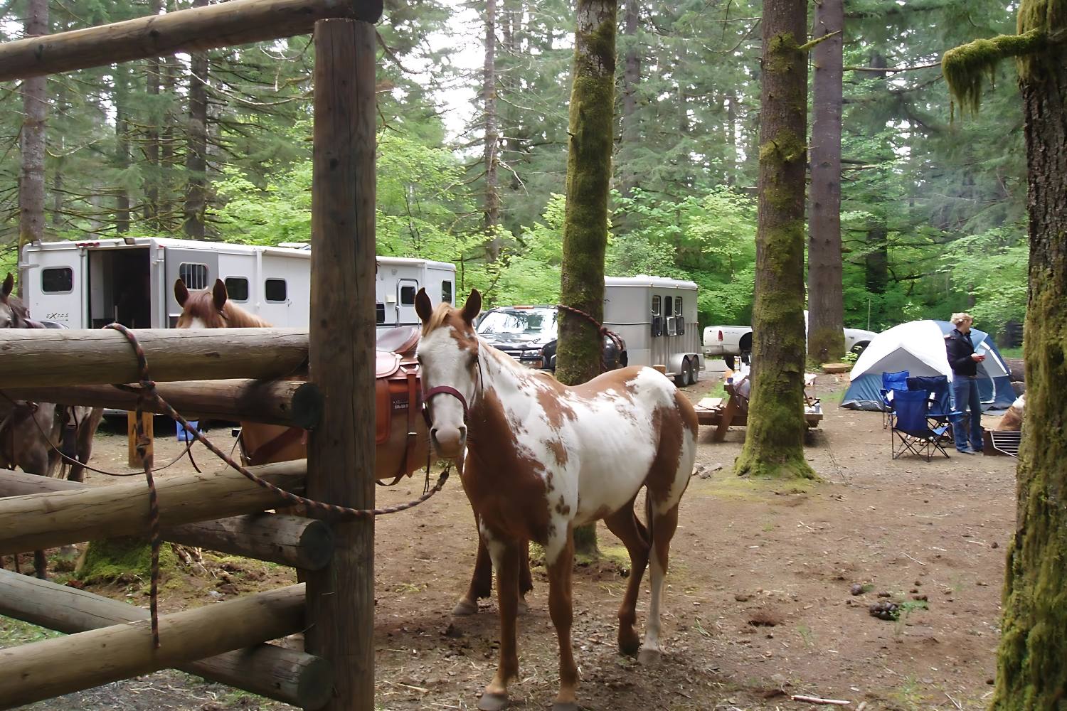 Image of Browns Camp, OHV Campground