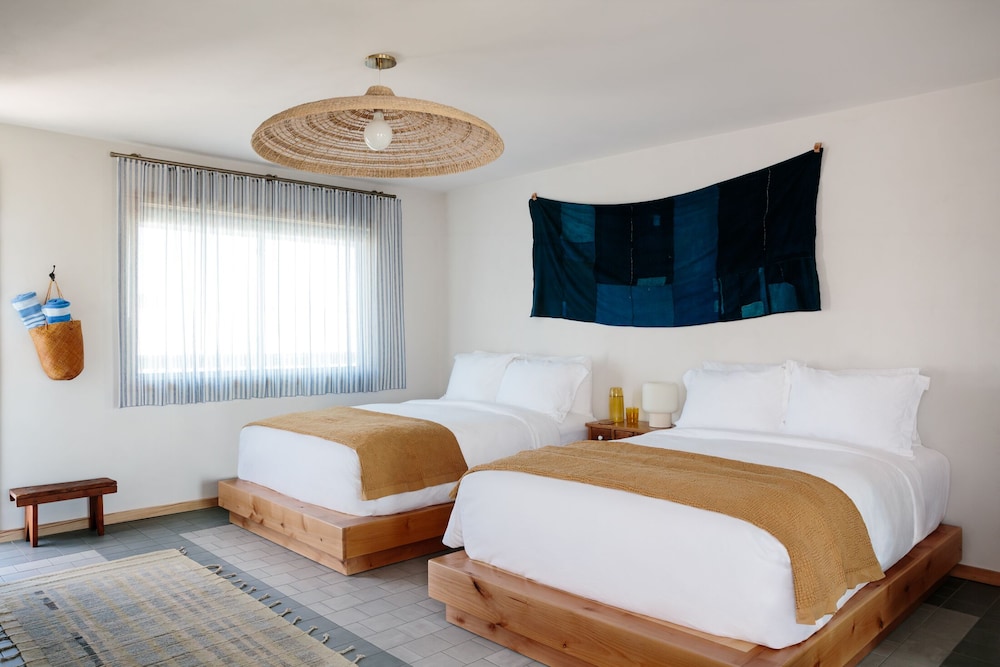 Image of Daunt's Albatross Resort
