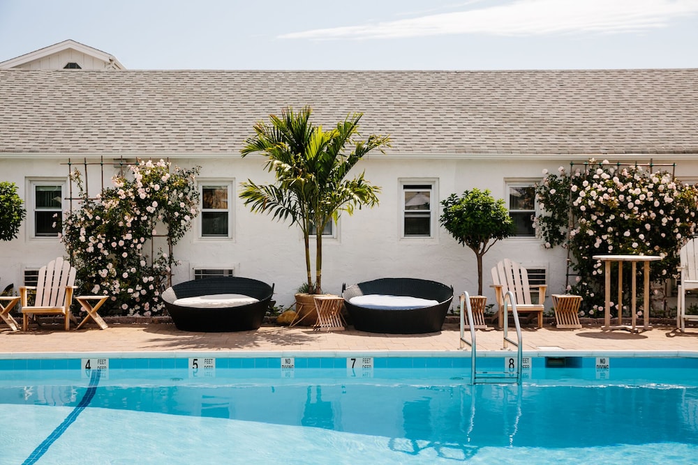 Image of Daunt's Albatross Resort