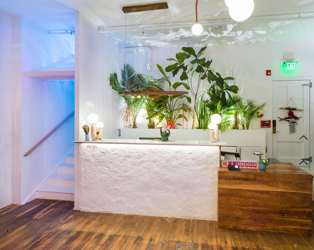 Image of American Beech Hotel