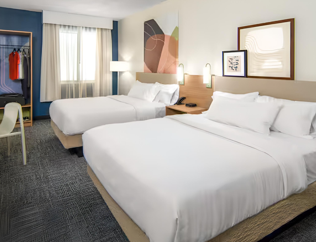 Image of Spark by Hilton Macon North