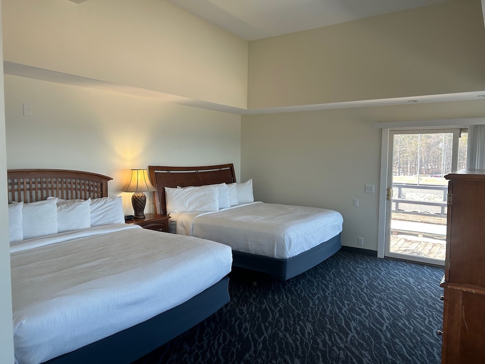 Image of The Beach Haus Resort