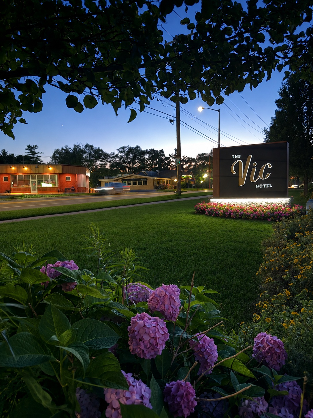 Image of The Vic