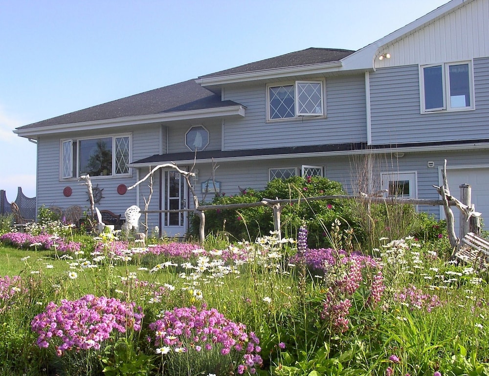 Image of Moonlight Beach Suites