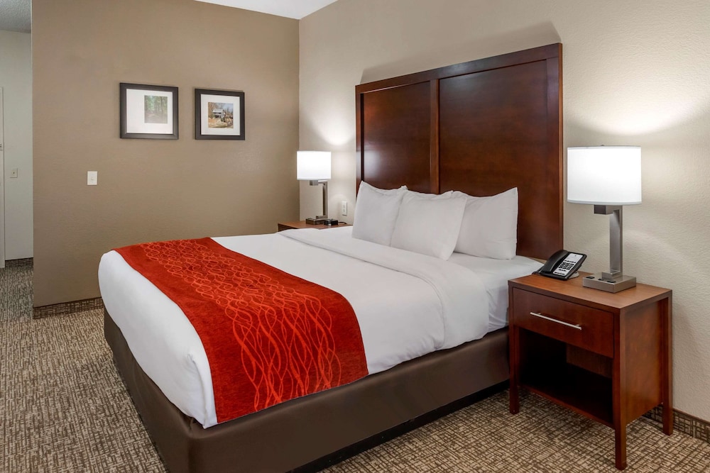 Image of Comfort Inn & Suites Canton Riverstone Area