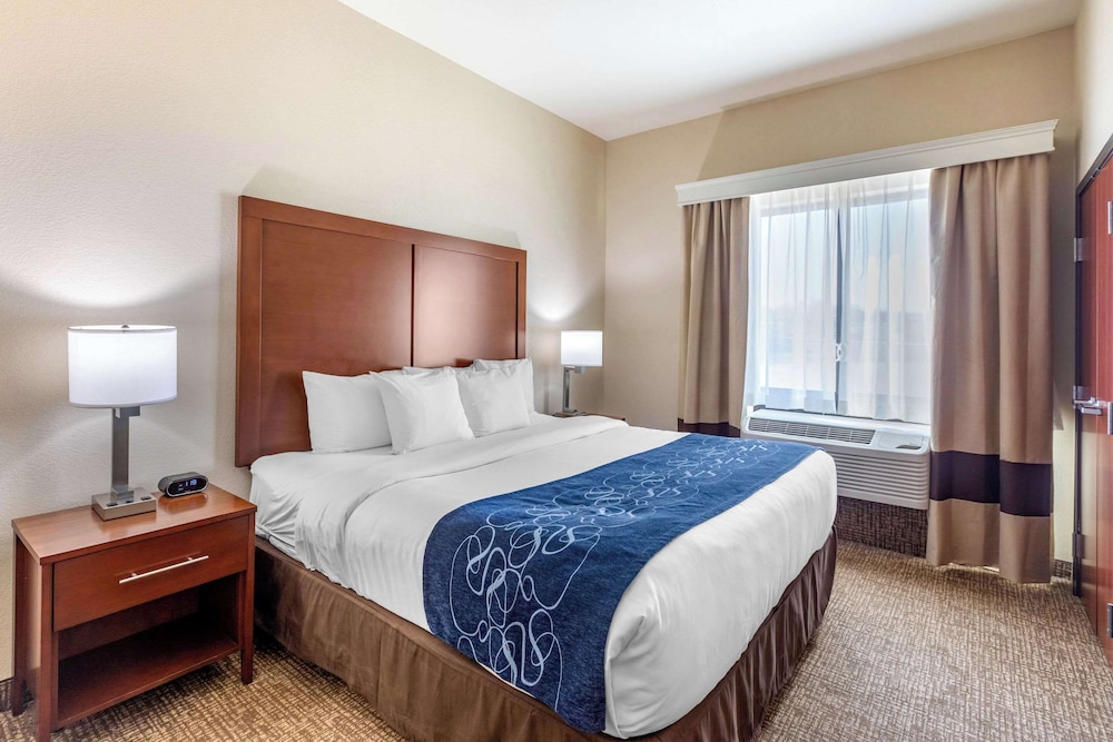 Image of Comfort Suites Near Denver Downtown