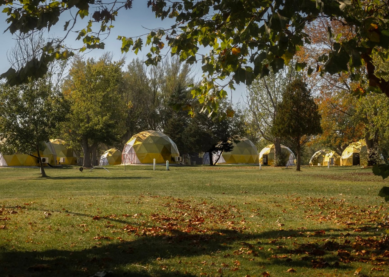 Image of DayDreamer Domes & Dine