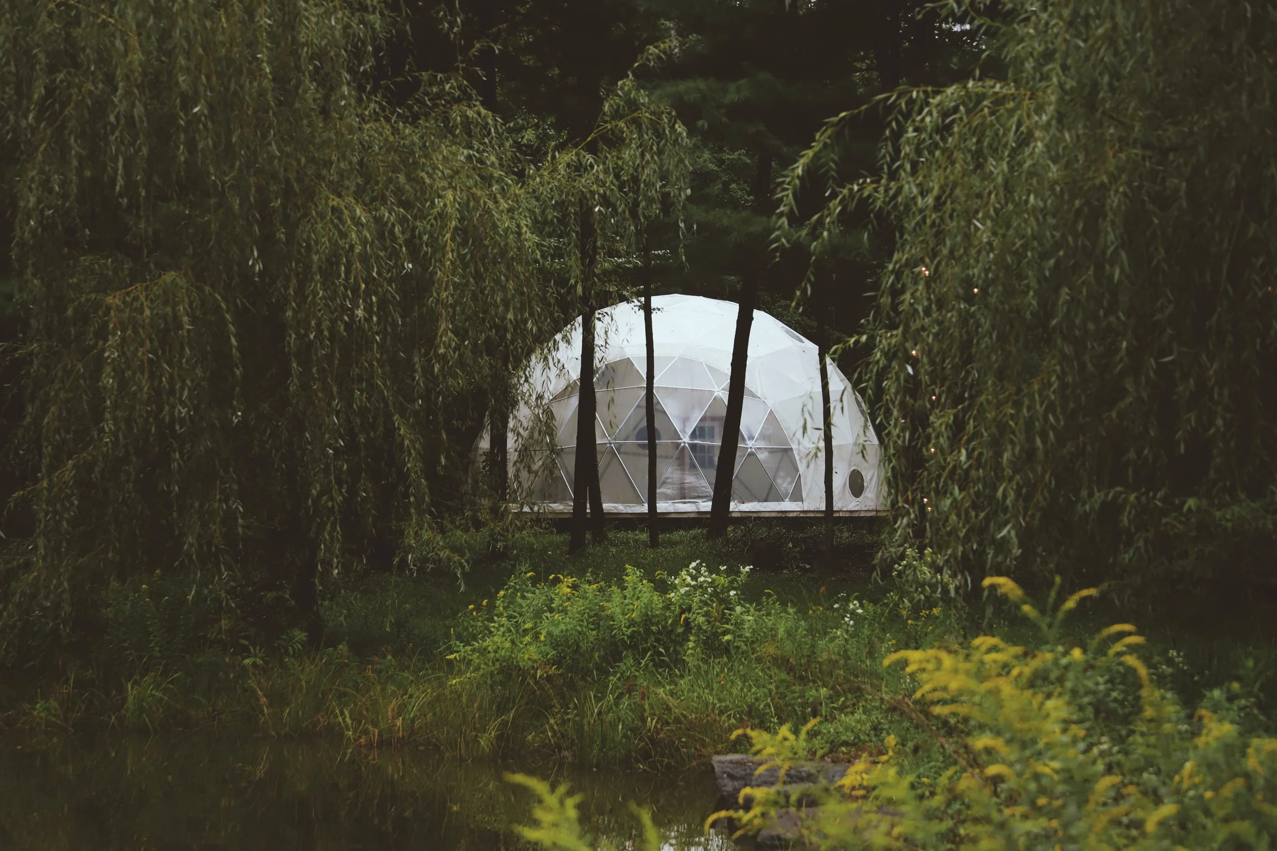 Image of The Outlier Inn