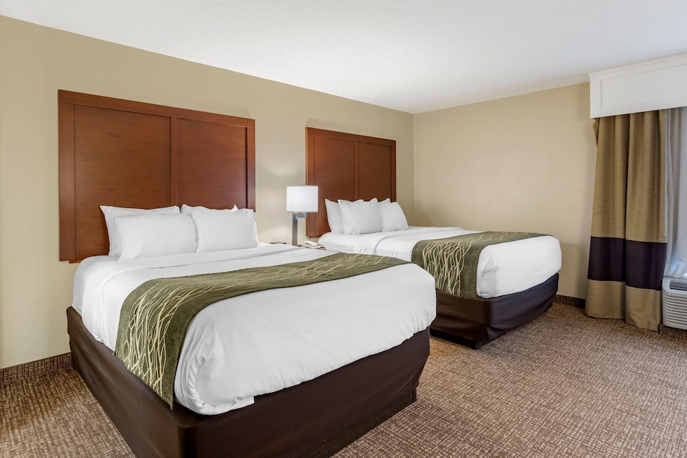 Image of Comfort Inn & Suites- Airport