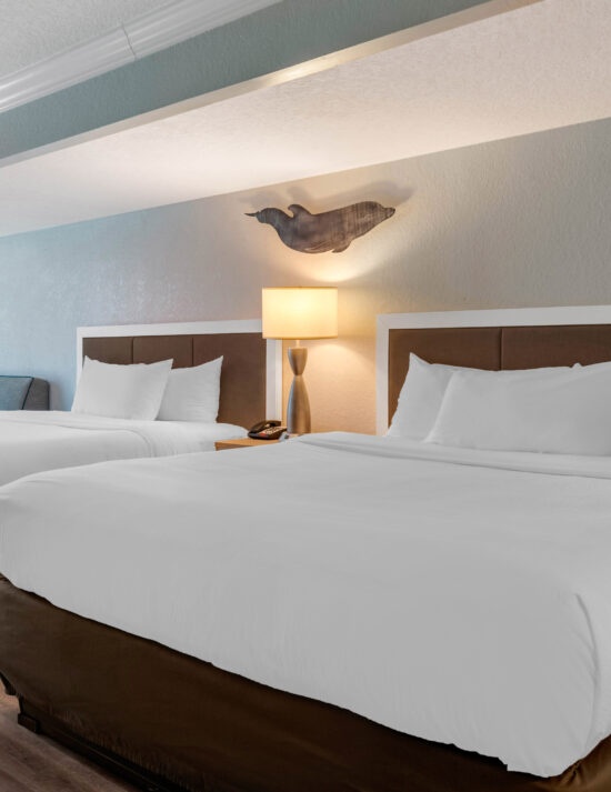 Image of Dolphin Sands Clearwater Beach