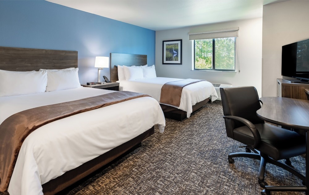 Image of My Place Hotel
