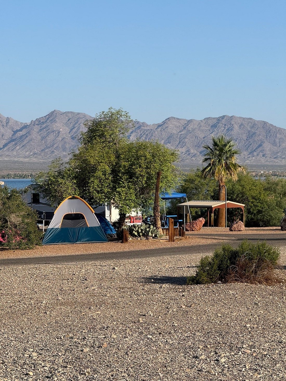 Image of Lake Havasu State Park