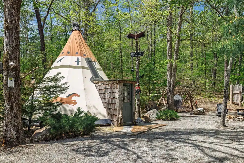 Image of Fox Pass Cabins