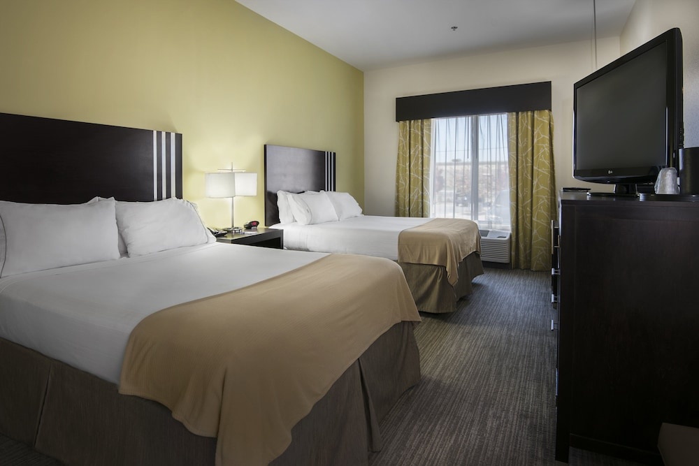 Image of Holiday Inn Express Hotel & Suites - Conway