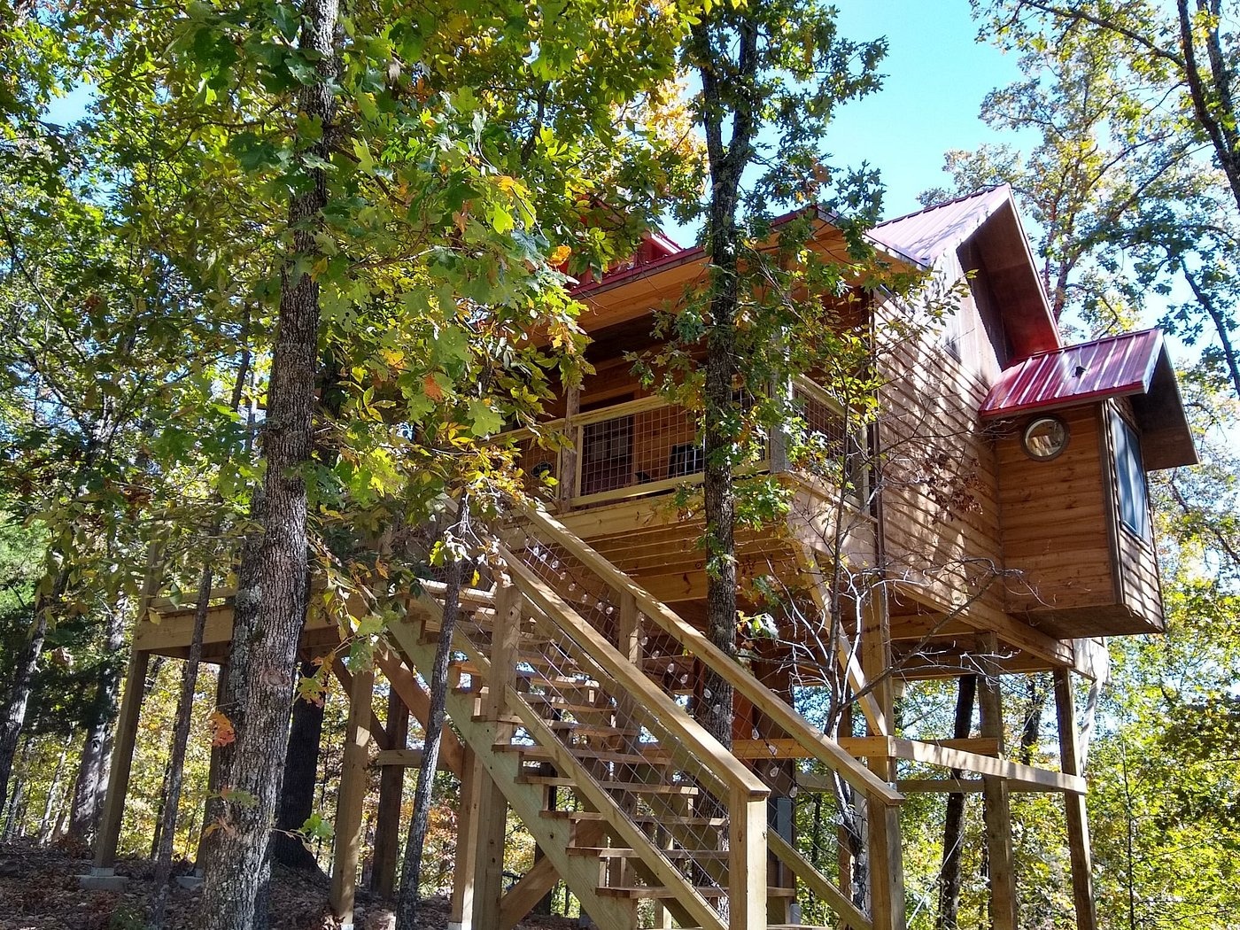 Image of Enchanted Treehouses
