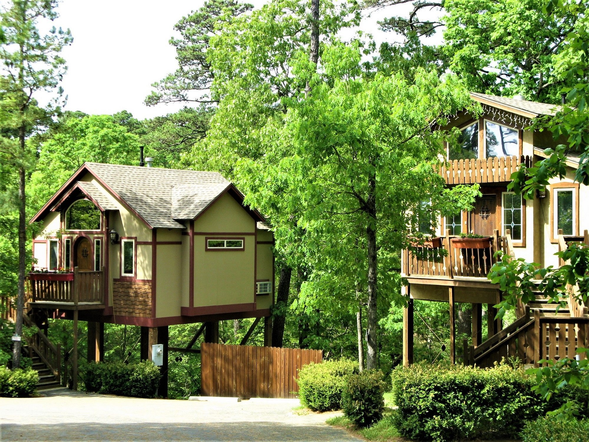 Image of The Grand Treehouse Resort