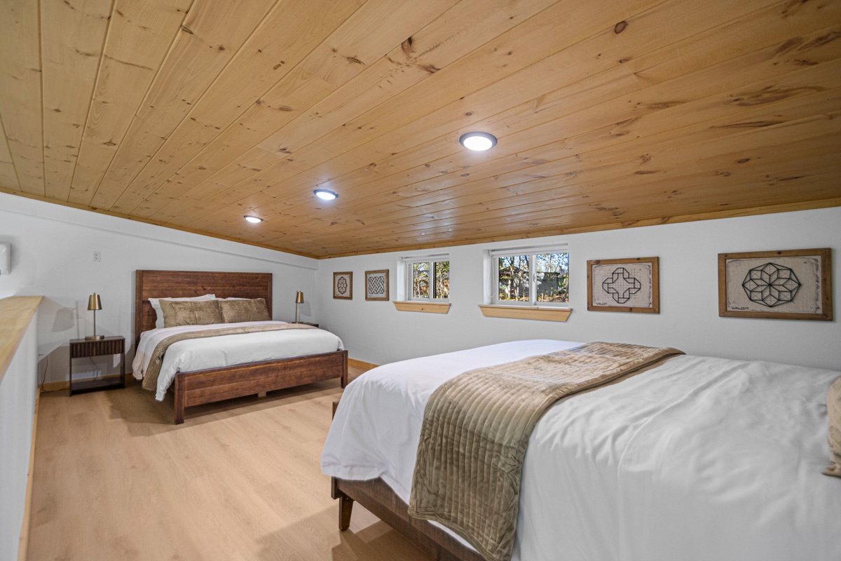 Image of Buffalo Moderns