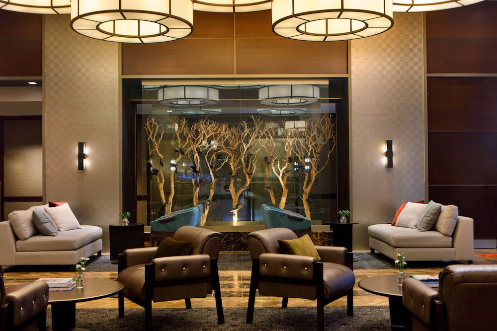 Image of The Muse New York