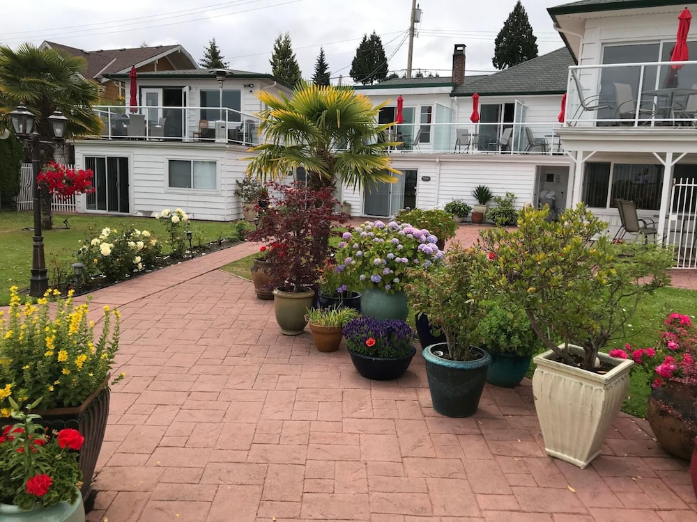 Image of Buena Vista by the Sea