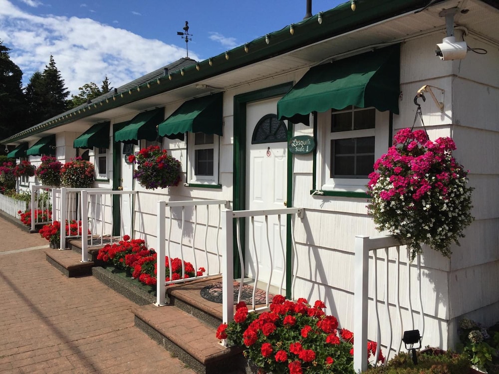 Image of Buena Vista by the Sea