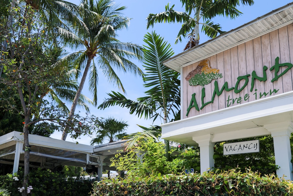 Image of Almond Tree Inn