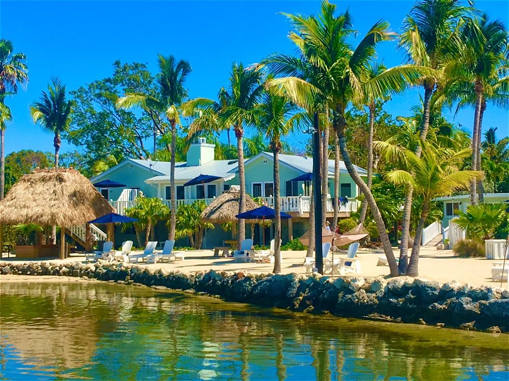 Image of COCONUT PALM INN