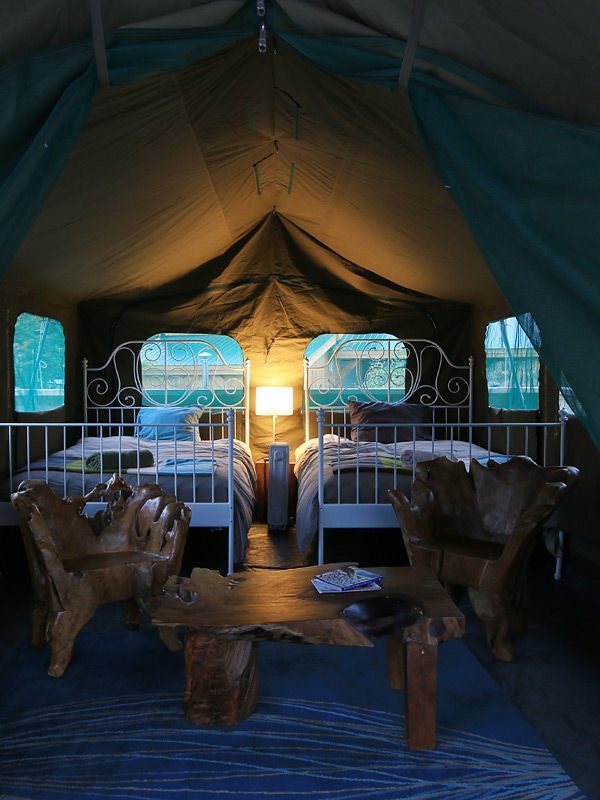 Image of Bear Camp
