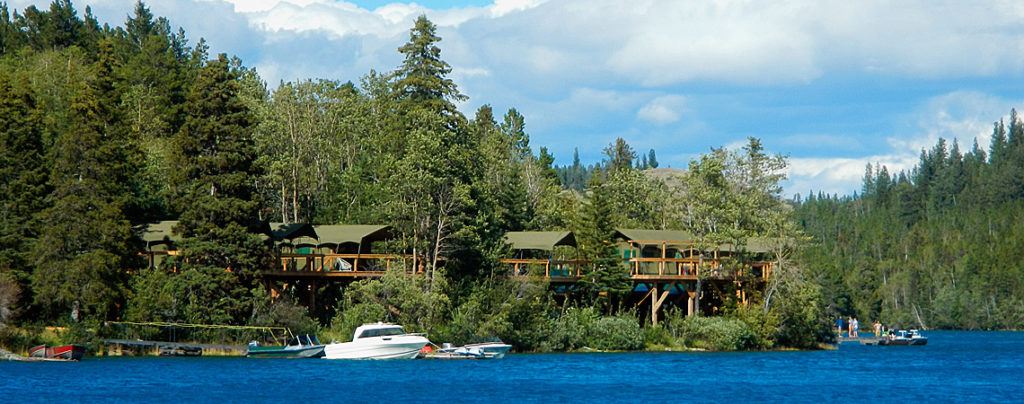 Image of Bear Camp