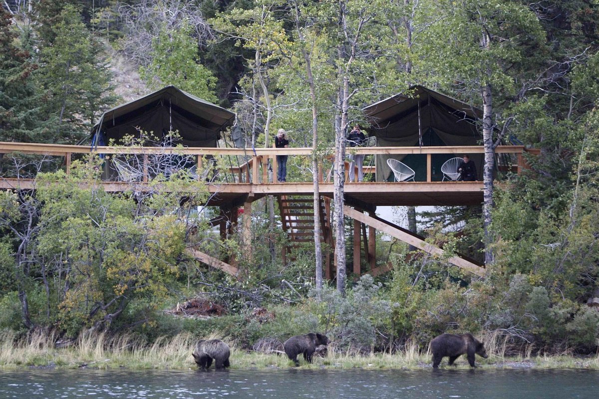 Image of Bear Camp