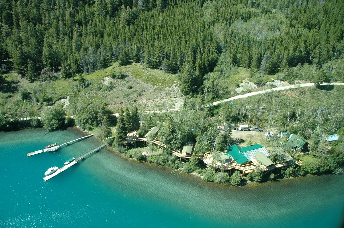 Image of Bear Camp