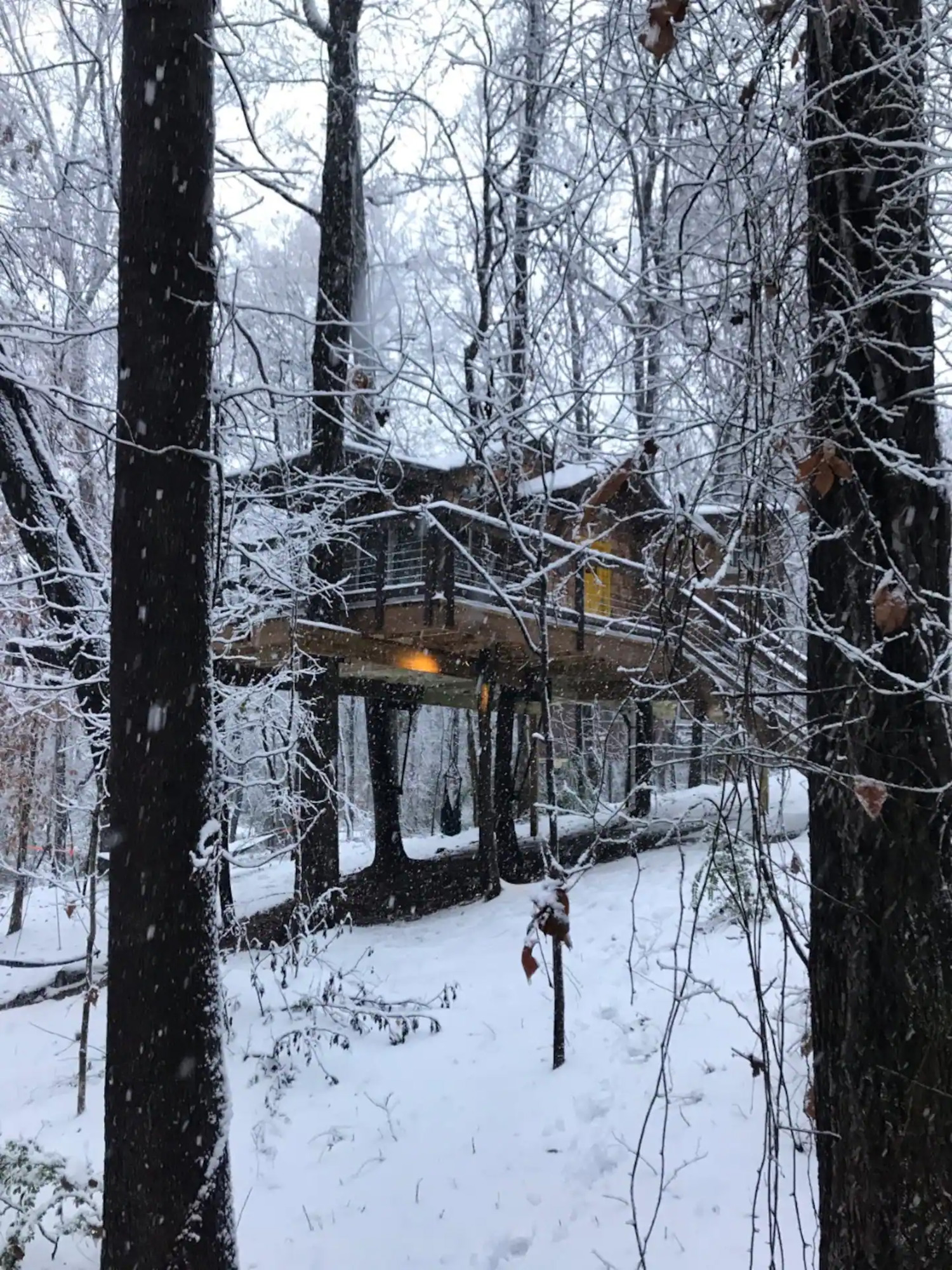 Image of Cherry Treesort - Nona's Nest