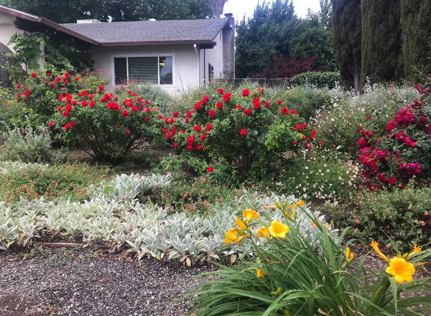 Image of The Pineapple House