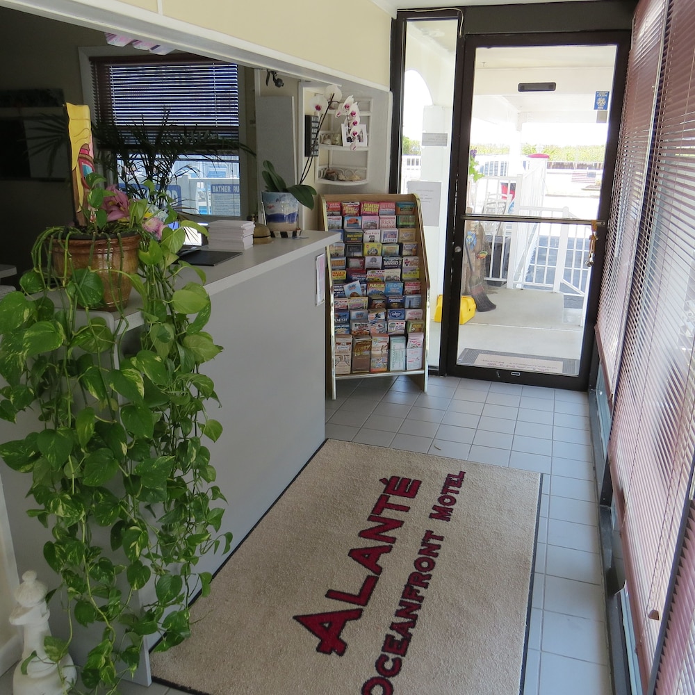 Image of Alante Oceanfront Motel