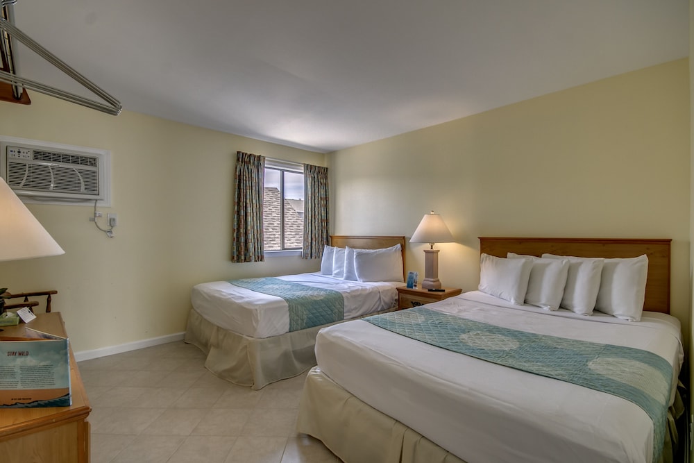 Image of Daytona Inn And Suites