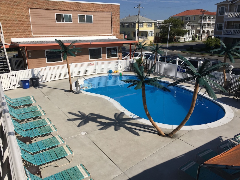 Image of Dolphin Inn