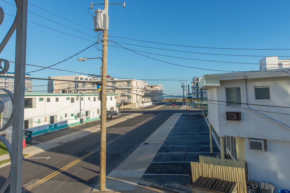 Image of American Safari Motel