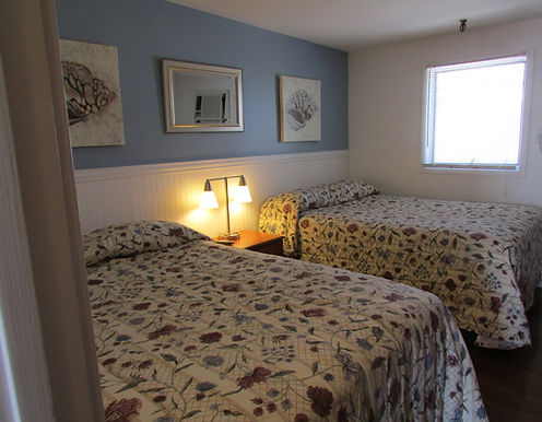 Image of The Sahara Motel